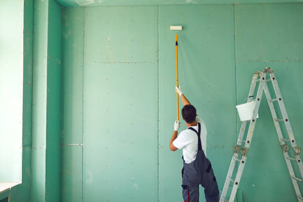 Mold Documentation for Insurance Claims in Keuka Park, NY