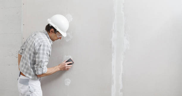Best Water Damage & Mold Remediation  in Keuka Park, NY
