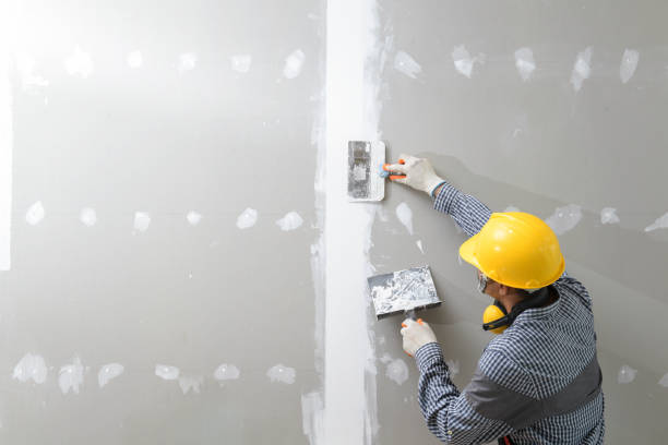 Best Crawl Space Mold Remediation  in Keuka Park, NY