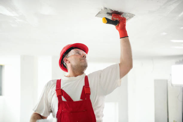 Best Environmental Consulting for Mold Prevention  in Keuka Park, NY