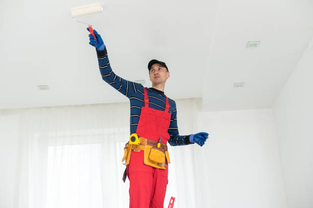  Keuka Park, NY Mold Removal Pros