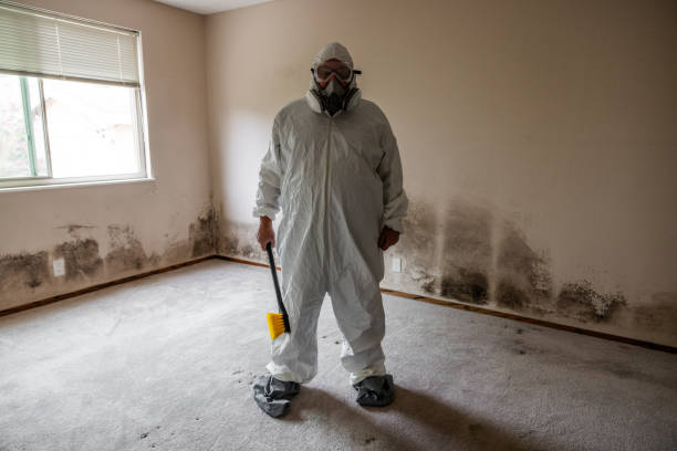 Best Mold Damage Restoration  in Keuka Park, NY