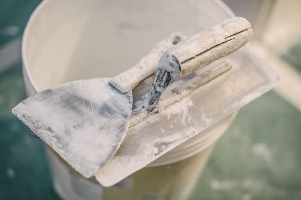 Best Basement Mold Removal  in Keuka Park, NY