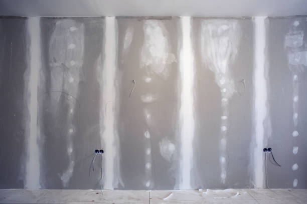 Best HVAC Mold Inspection and Cleaning  in Keuka Park, NY